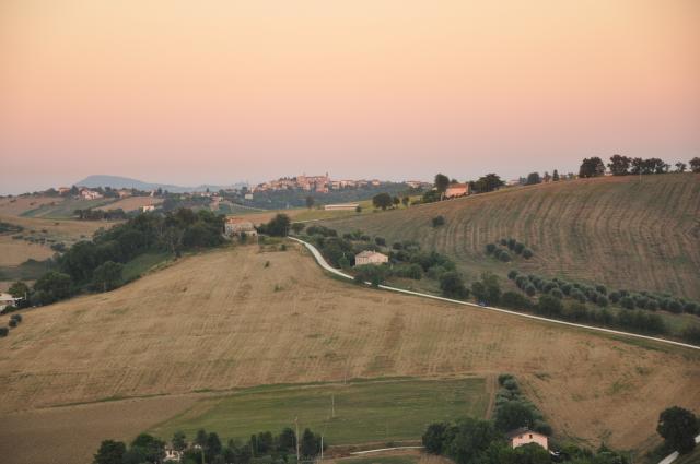 min 2010 08 01 ostra 100